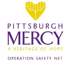 Operation Safety Net Logo