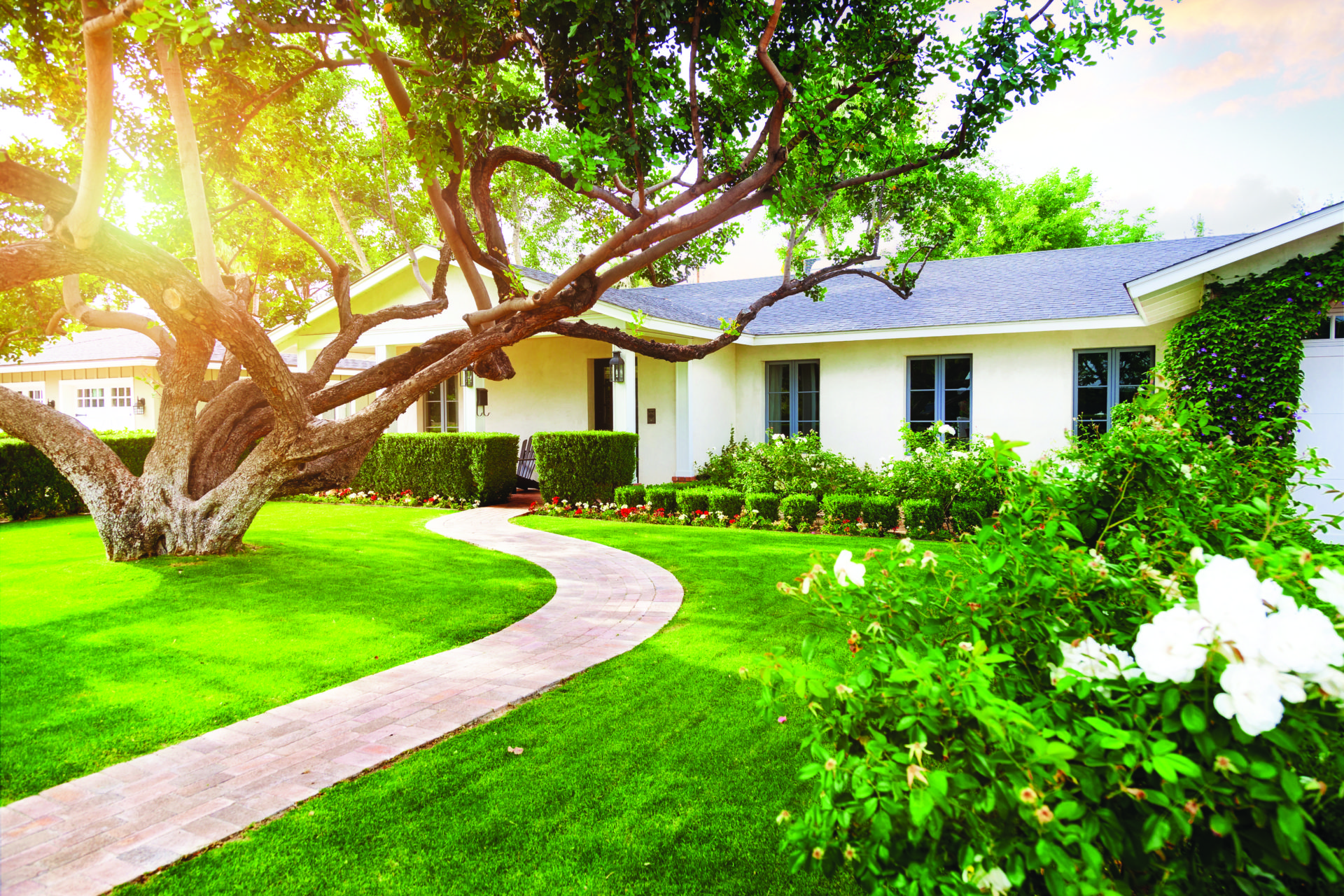 House with Lawn and Path - landscaping design