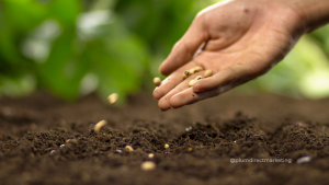 Farmer planting seeds symbolizing relational marketing strategies