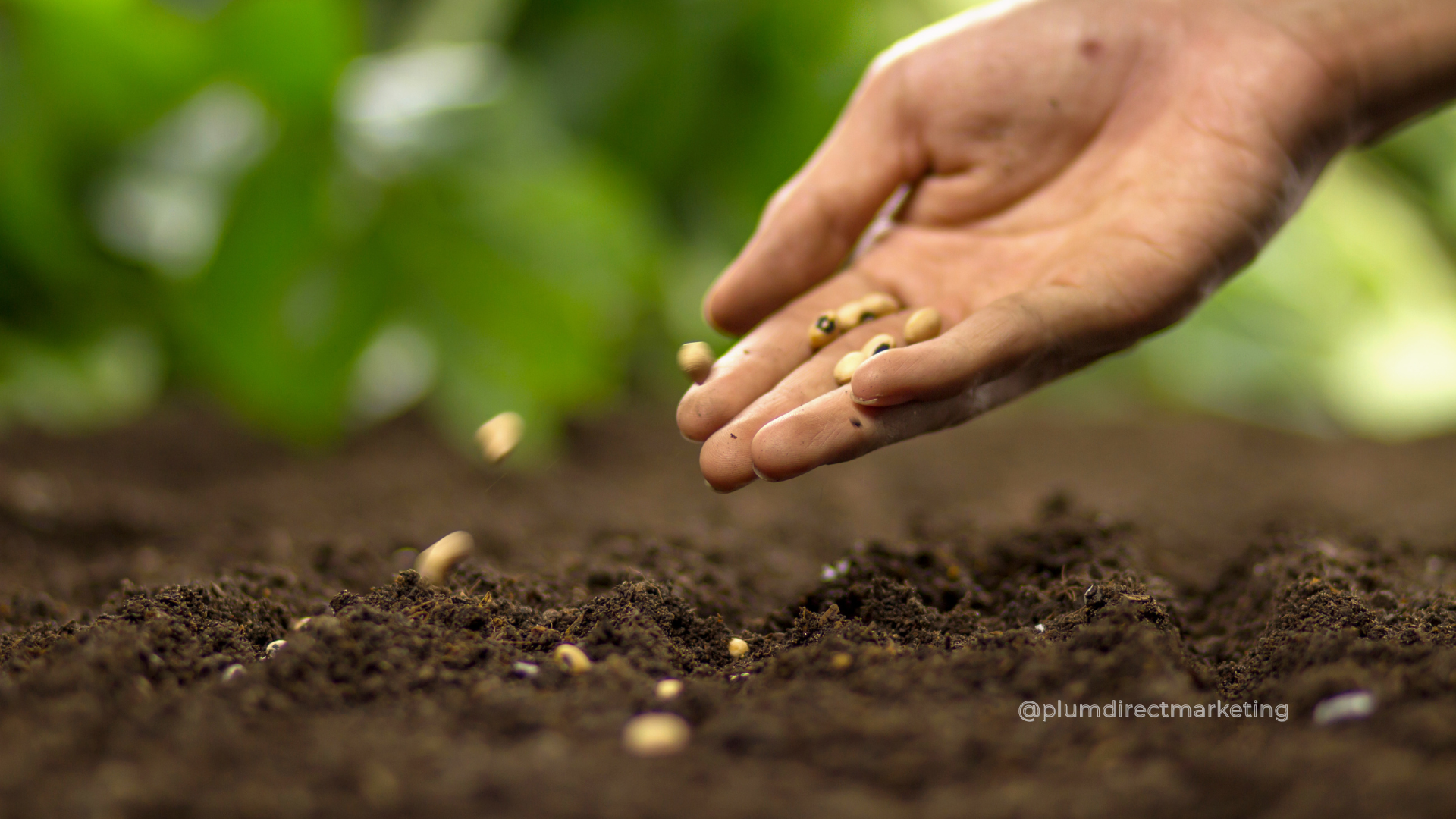 Farmer planting seeds symbolizing relational marketing strategies