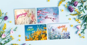 Flatlay of modern spring postcards with seasonal colors and clean layouts for direct mail campaigns